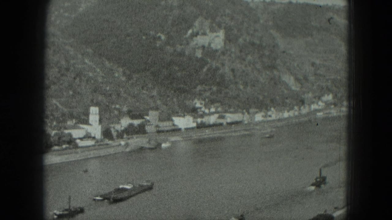 Wide river view with a waterfront town, several boats, and a hillside rising behind the buildings.
