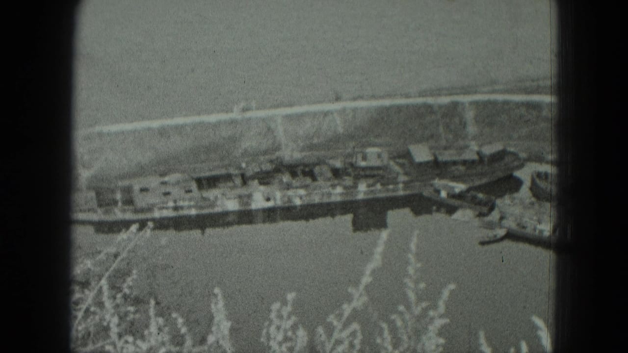Boats moored along a riverbank, seen through reeds from an elevated viewpoint.