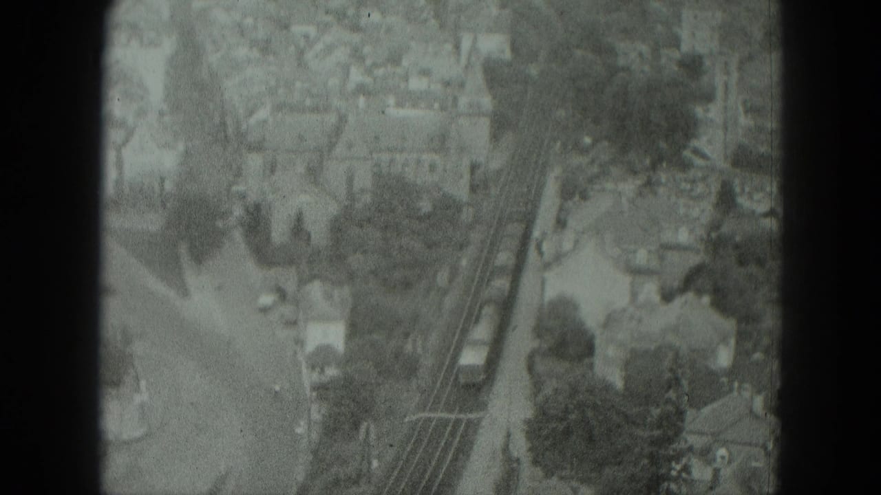 Overhead view of rail tracks and a train beside a town street and trees.