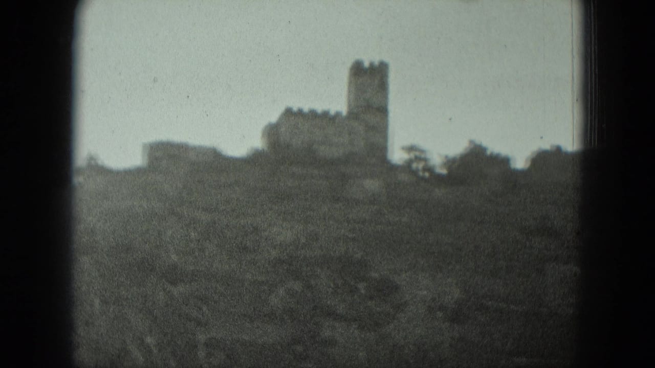 Hilltop castle silhouette with tower and trees in soft focus.