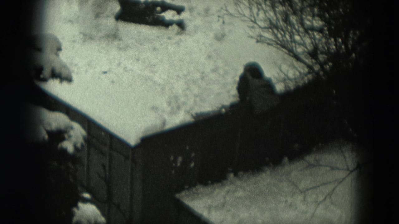 Snowy yard seen from above with a fence, shrubs, and a bundled figure near a snowman.