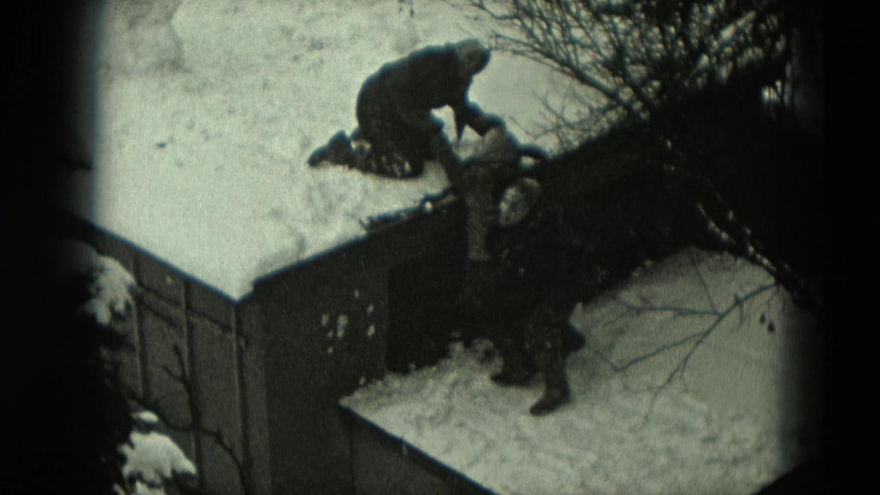 A bundled person bends over the edge of a snow-covered roof as another figure stands below in the winter yard.