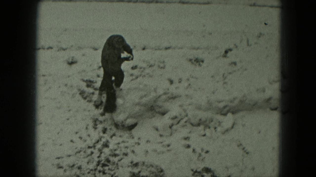 Bundled person walking through snow with a small dark dog nearby.