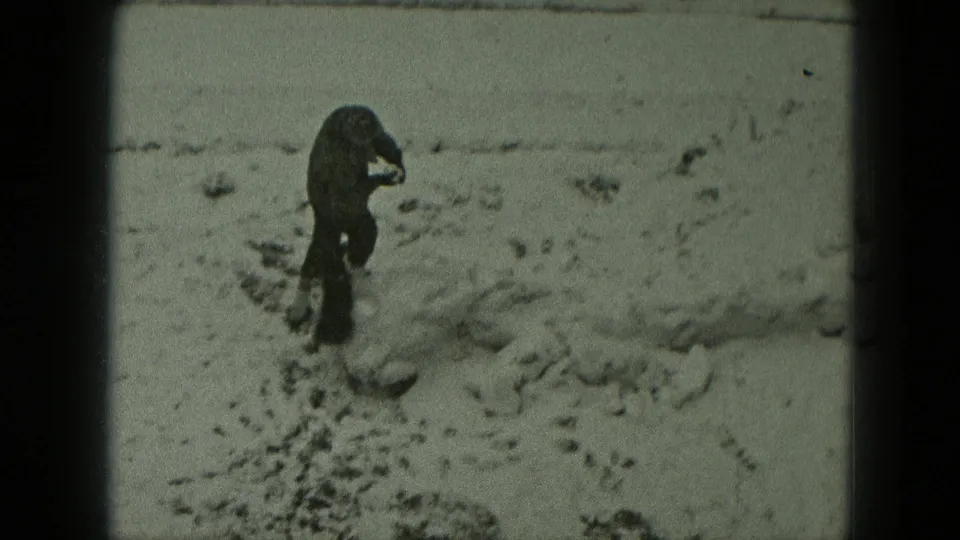 1951 West Germany home-movie frame of a bundled person in a snowy field with a small dark dog at their feet.