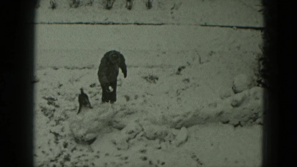 A small dog stands near a person in heavy winter clothing in a snowy West Germany field, from 1951 8mm footage.
