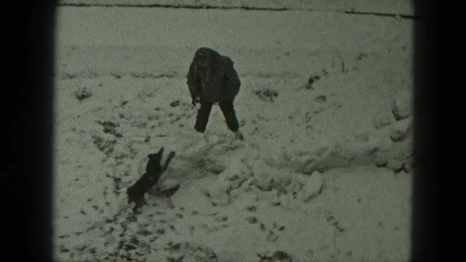 The small dog leaps toward the bundled person during a snowy outdoor play moment in 1951 West Germany.