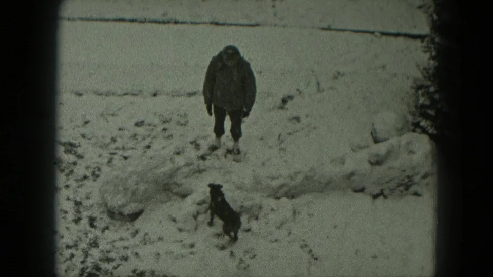 A small dark dog moves toward a bundled person standing in a snowy yard in 1951 West Germany footage.