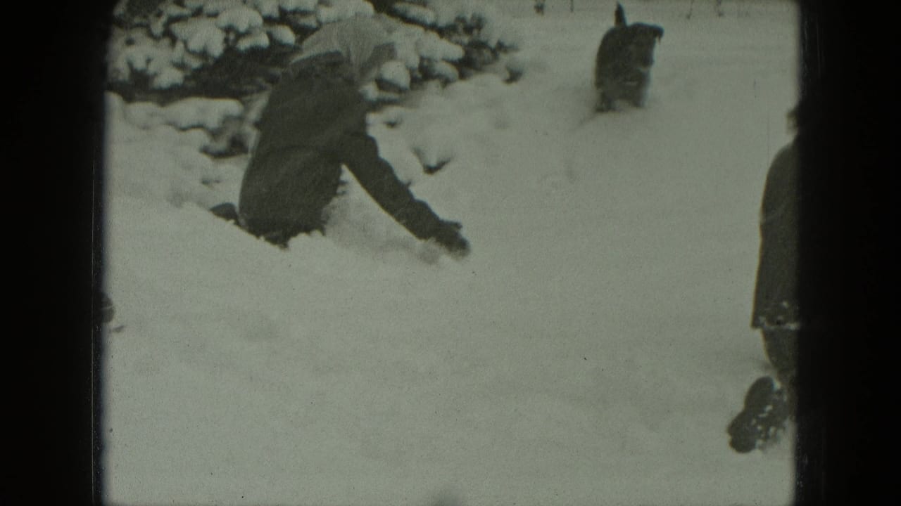 Bundled woman crouches in deep snow while a small dark dog moves nearby.