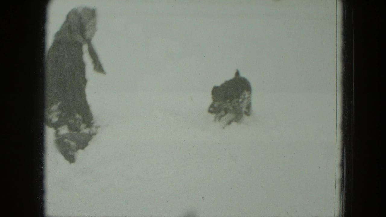 A woman in winter clothing stands in a snowy German yard while a small dog runs through the snow.