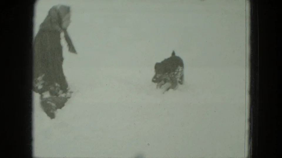 A woman in winter clothing stands in a snowy German yard while a small dog runs through the snow.