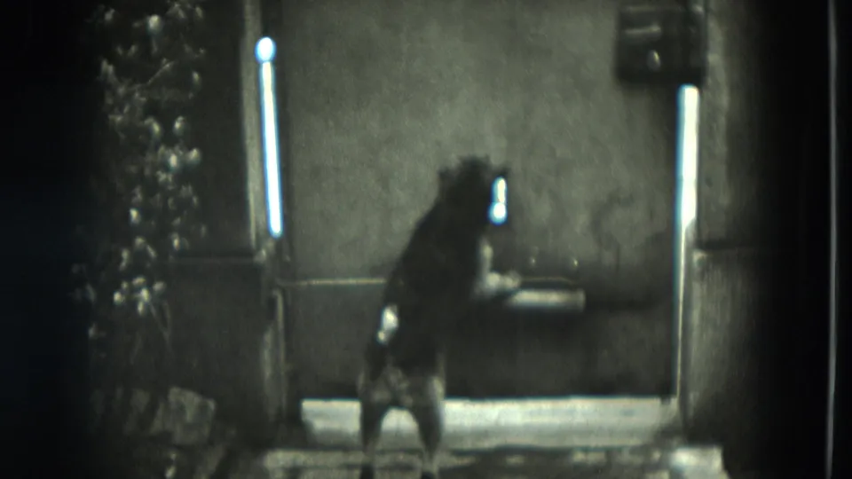 Black dog faces a doorway area in the West Germany home-movie frame, with a small bright opening or fixture visible on the wall.