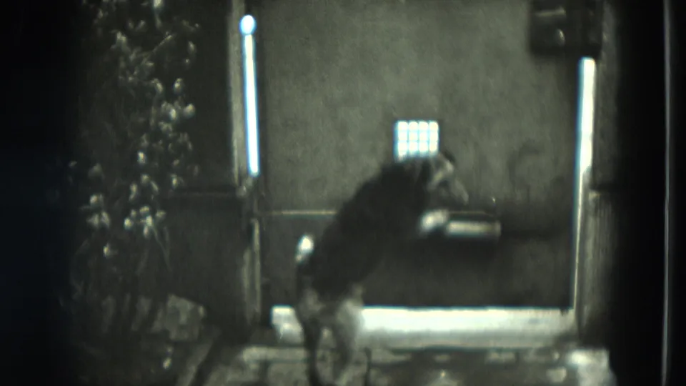 A closer, motion-softened view of the dog leaning near the window or door in the same 8mm interior scene.