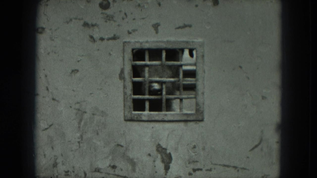 Weathered concrete wall with a small barred window and a dog visible behind it.