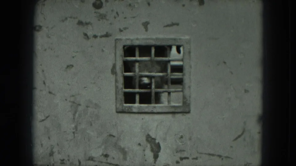 1951 West Germany 8mm frame showing a rough concrete wall with a small barred opening and a dog partly visible behind the grid.