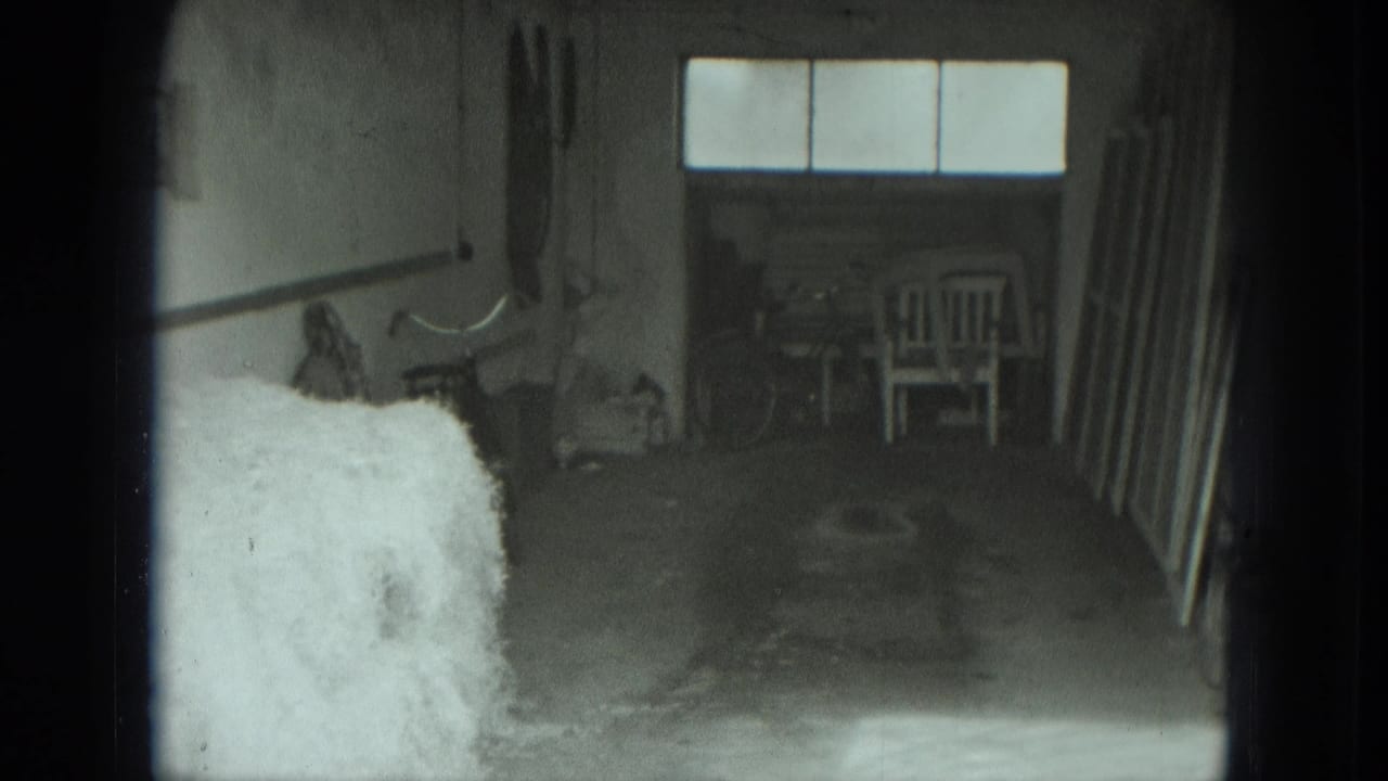Shed-like private interior in 1951 Germany footage, showing hay, a chair, tools, boards, and bright window panes.