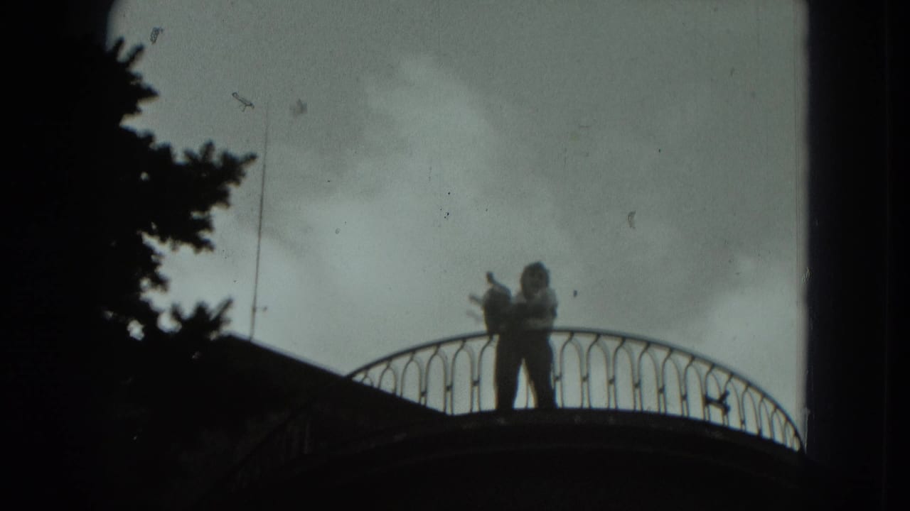 A silhouetted person on a curved balcony appears to hold a small animal, likely a cat, over or near the railing.