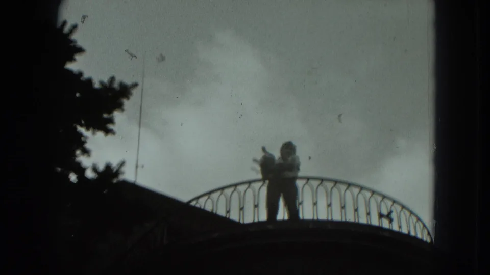A silhouetted person on a curved balcony appears to hold a small animal, likely a cat, over or near the railing.