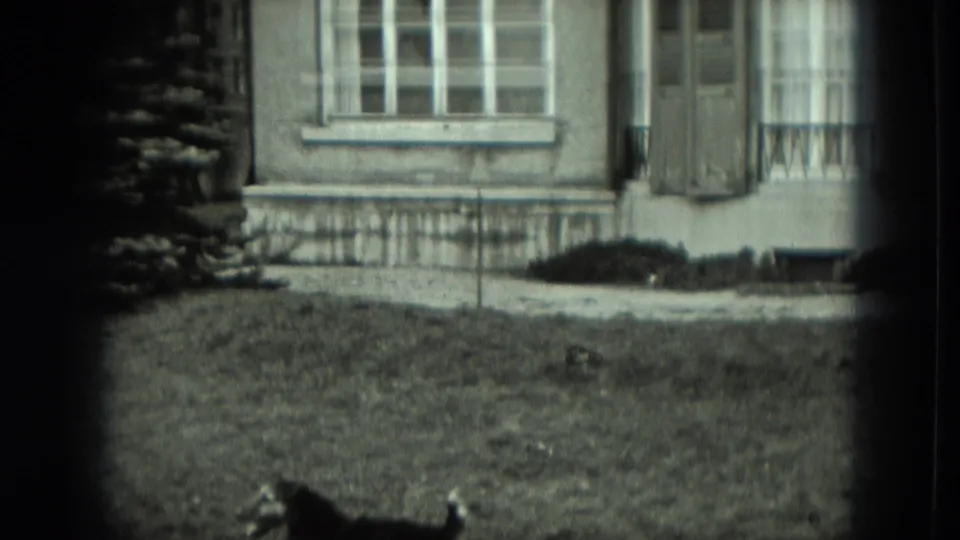 1951 Germany home-movie frame showing a small dog on grass before a shuttered house exterior.