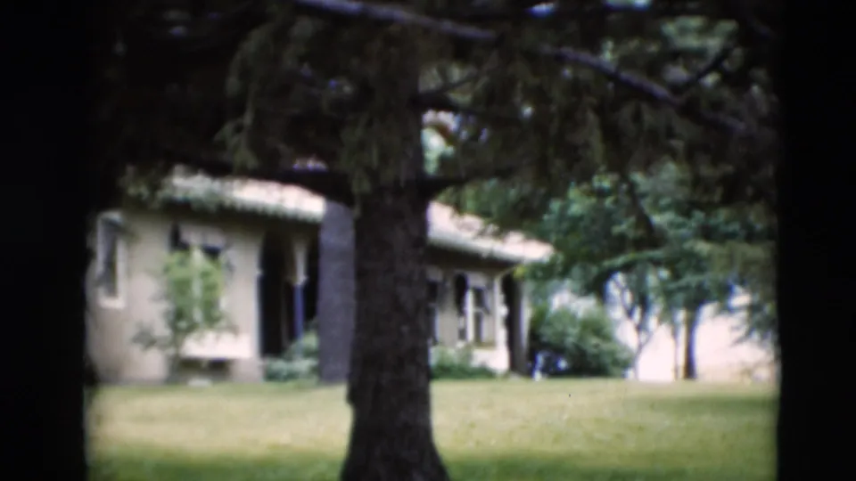 Paducah home-movie frame showing a grassy lawn, large tree trunk, shrubs, and a light-colored side building beyond the facade area.
