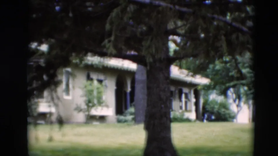 1951 Paducah home-movie frame showing a pale house with windows and lawn seen through foreground evergreen trunks.