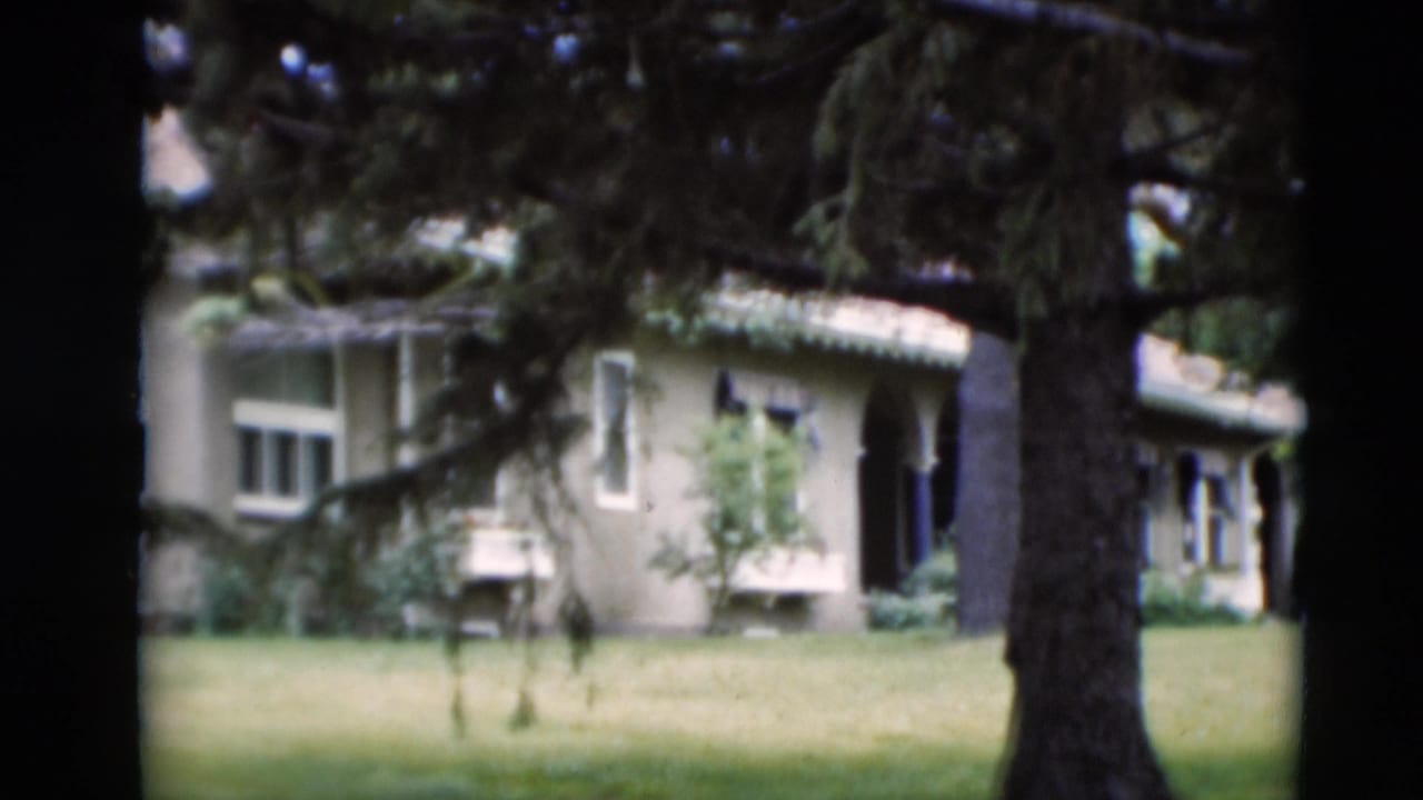 1951 Paducah frame of a residential exterior with a tiled roof and lawn, framed by dark evergreen branches.