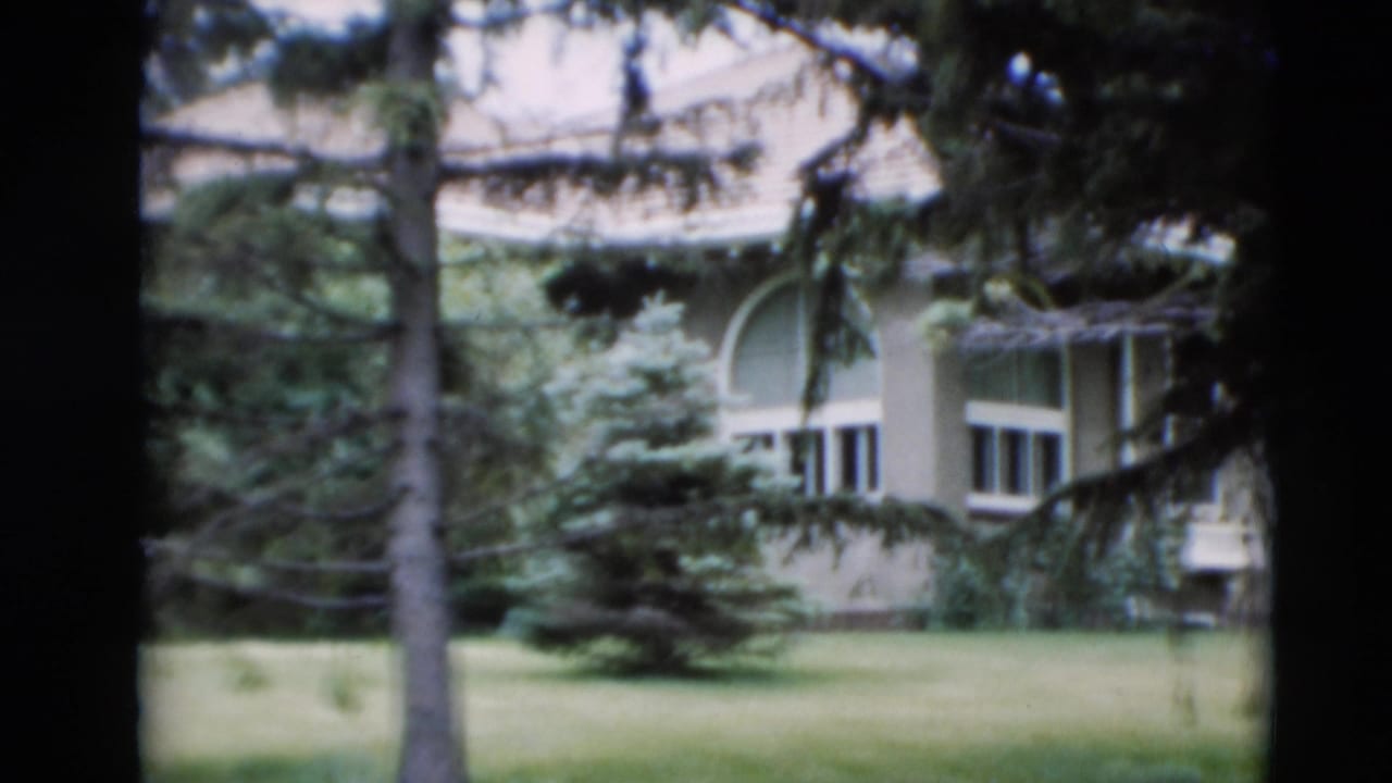 Pale house partly hidden by trees and lawn in a residential garden.