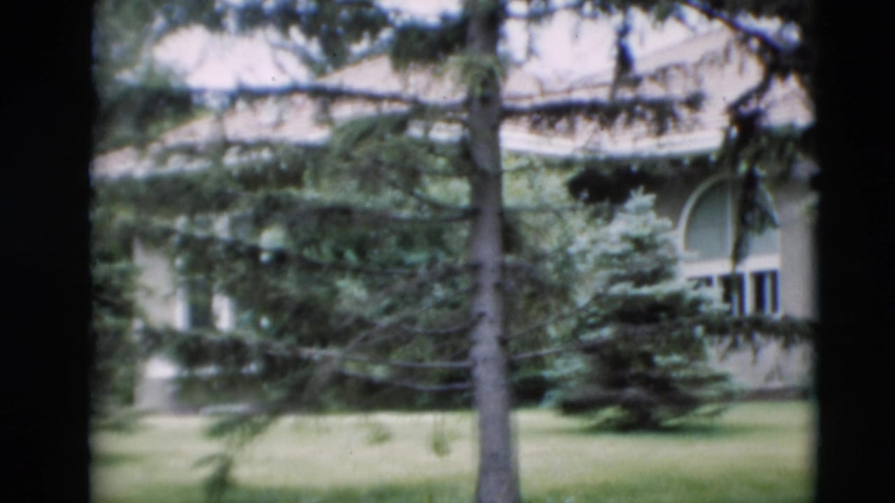 Residential house and lawn seen through trees with evergreen branches in front.