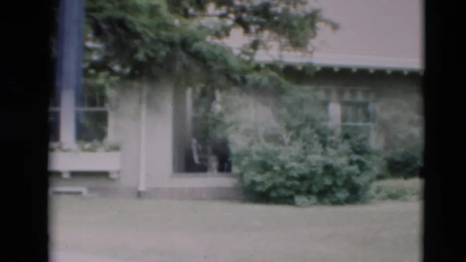 1951 Paducah frame showing the side area of the house with a window, shrubs, lawn, trees, and contact-sheet film borders.