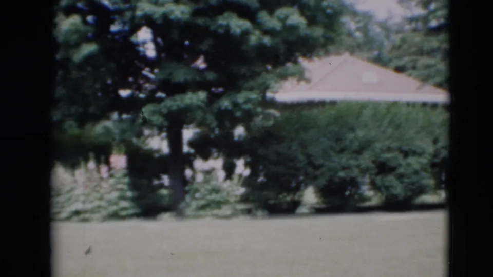 1951 Paducah home-movie frame showing a quiet front lawn, mature trees, shrubs, and a partially obscured house exterior.