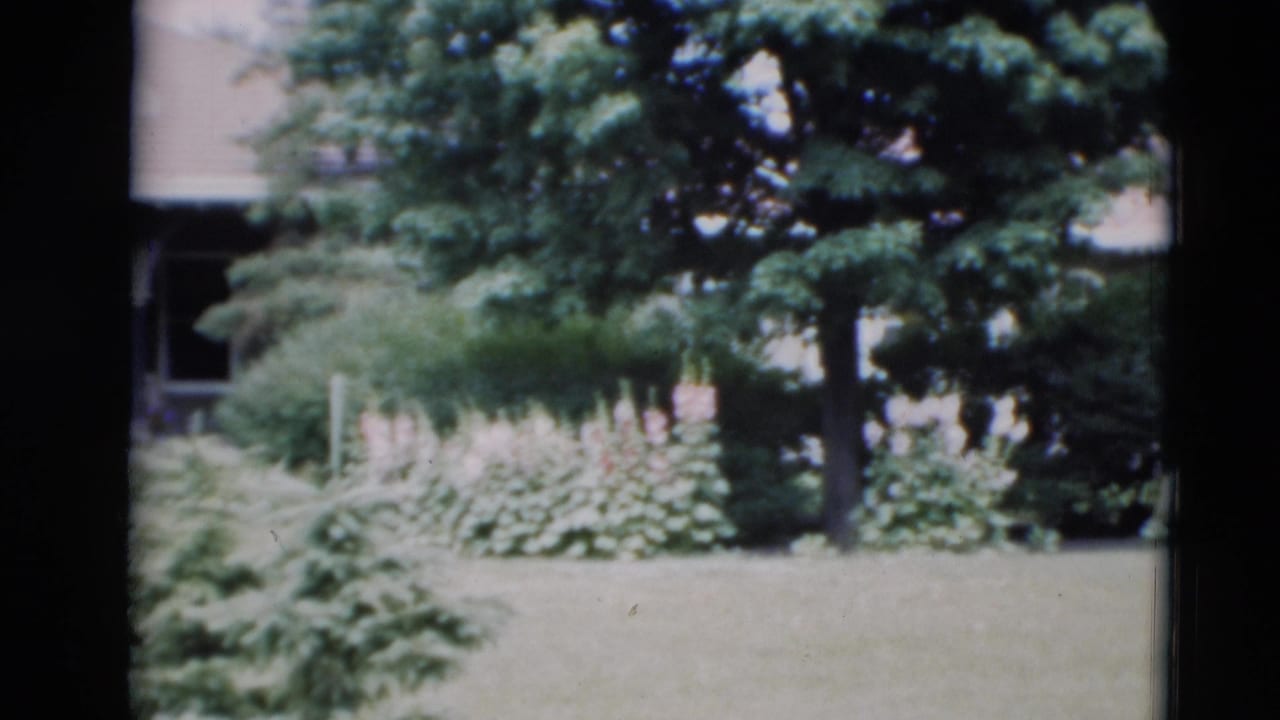 Front yard with trees, shrubs, roofline, and a shaded porch area in the background.