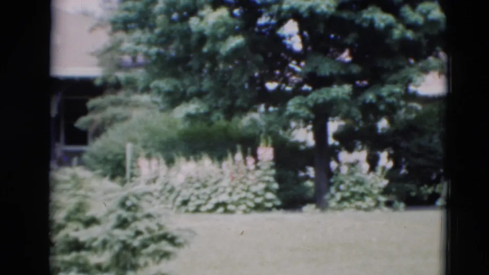 1951 Paducah residential exterior with a lawn, dense landscaping, trees, roofline, and shaded porch area visible through the foliage.