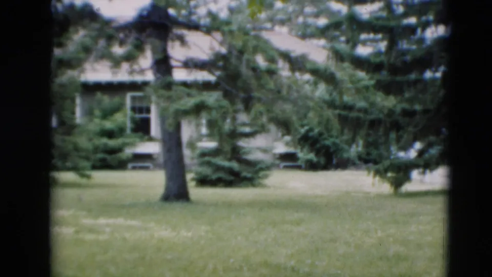 1951 Paducah home-movie frame showing a grassy yard, large trees, and a house partly hidden behind branches.