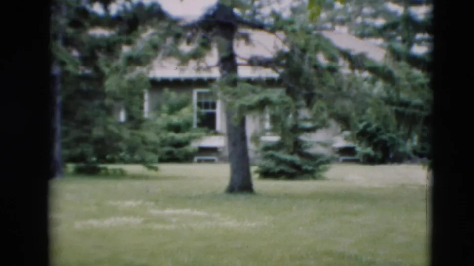 1951 Paducah home-movie frame showing a broad yard, evergreen trees, and a pale house partly obscured by foliage.