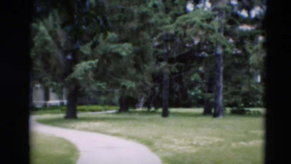 Paducah 1951 yard view with a curved concrete sidewalk, open lawn, mature trees, and a partially hidden house.