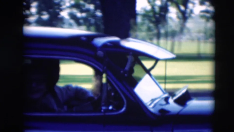 The man appears seated at the wheel of the dark car, with the door still open and the park lawn visible beyond the window.