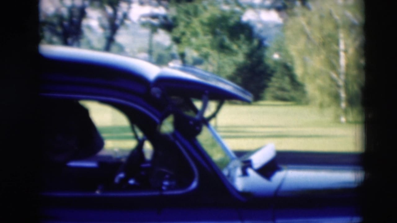 Dark car interior with a driver silhouette, open window frame, grass, and trees outside.