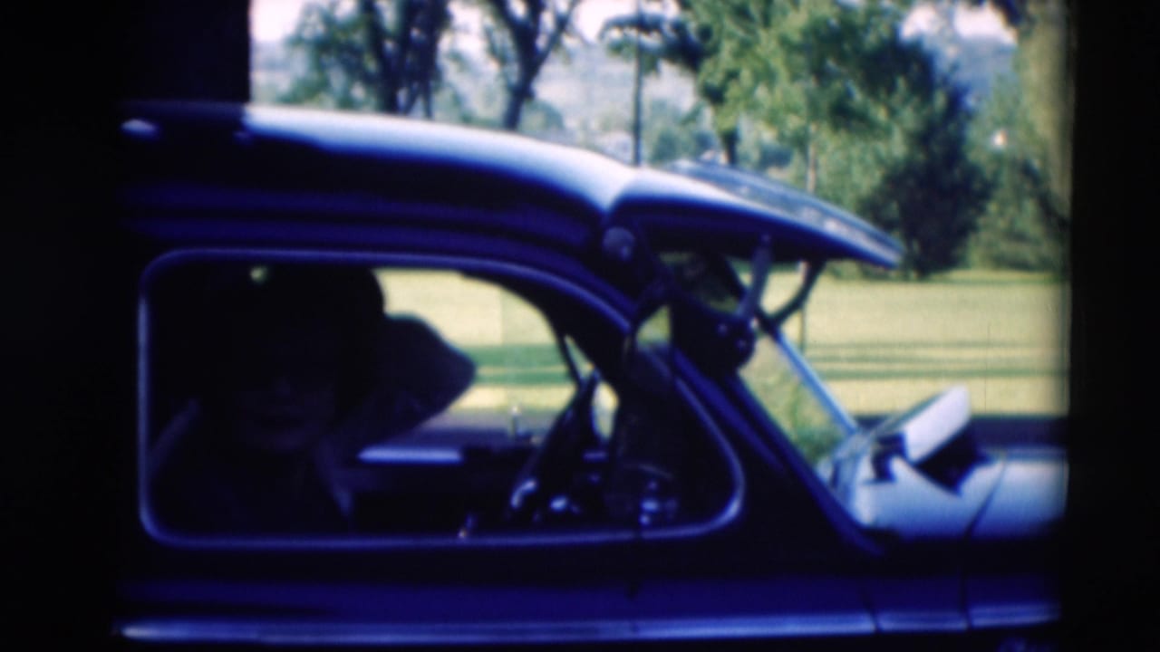Driver seated inside a dark car with steering wheel visible and a sunny lawn behind.