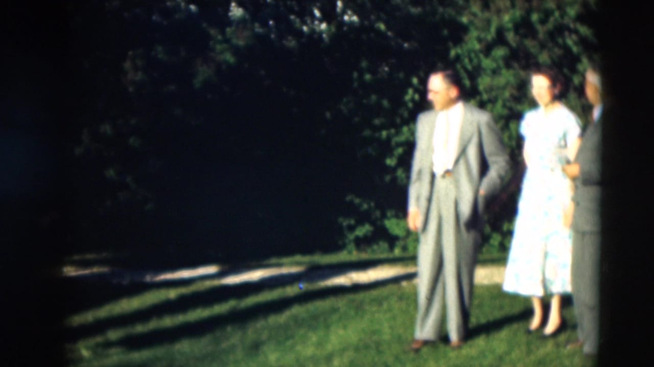 Man and woman standing together on a sunny lawn near trees.