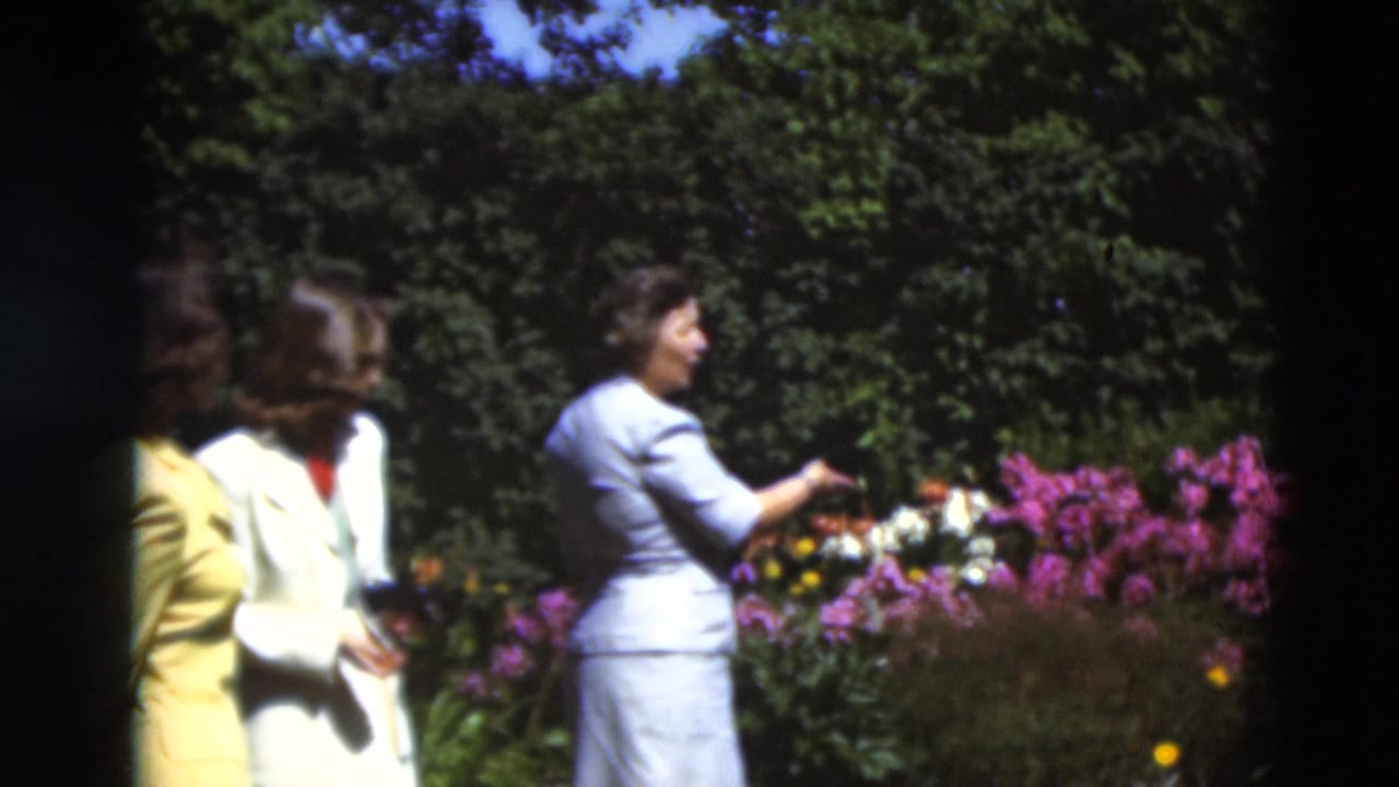 Women in light clothing stand close to bright flowers while one reaches toward the plants.