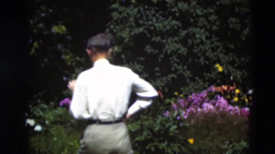1951 Paducah home-movie frame of a man in a flat cap viewed from behind while facing a colorful garden bed.