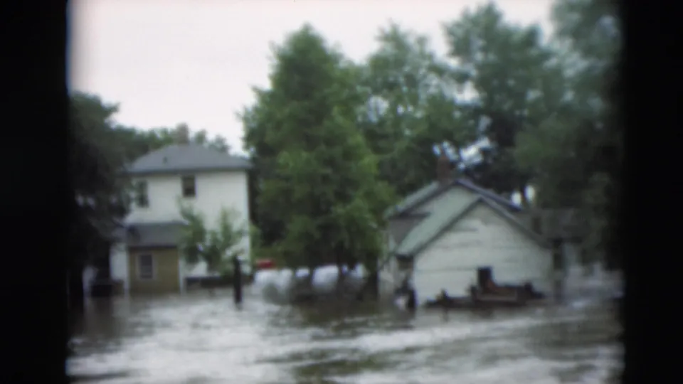 1951 Paducah flood scene showing water around houses, a small outbuilding, trees, and debris in a residential area.