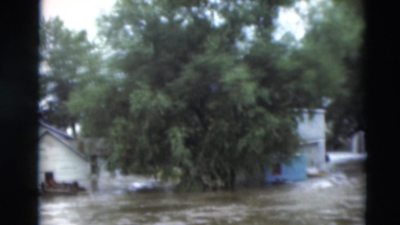 1951 Paducah flood footage shows muddy water around houses and trees, seen through soft 8mm framing.