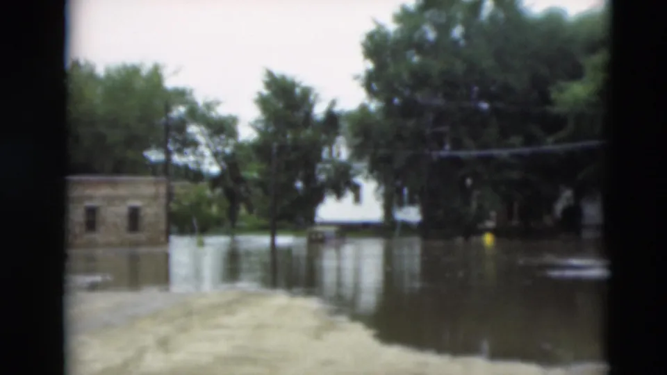 1951 Paducah, Kentucky flood scene with water across a residential area, trees reflected in the water, and a small structure at left.