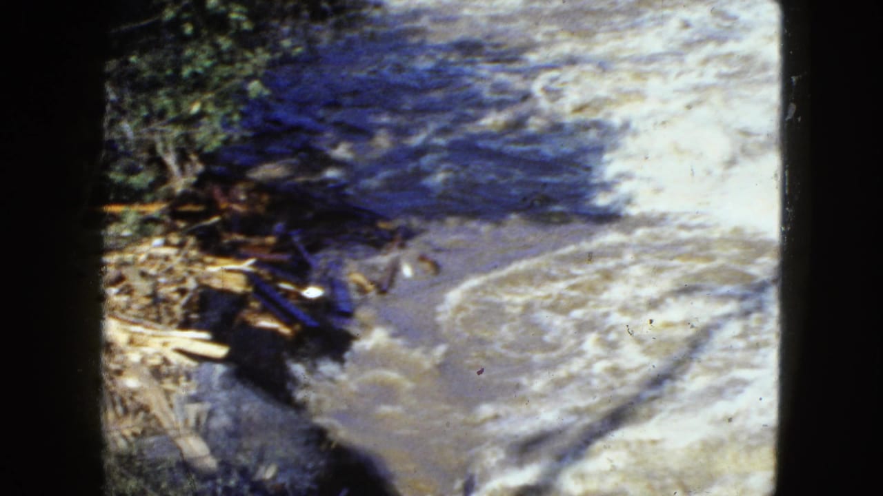 1951 Cleveland 8mm frame of turbulent water beside tangled branches, logs, and vegetation on a damaged shoreline.