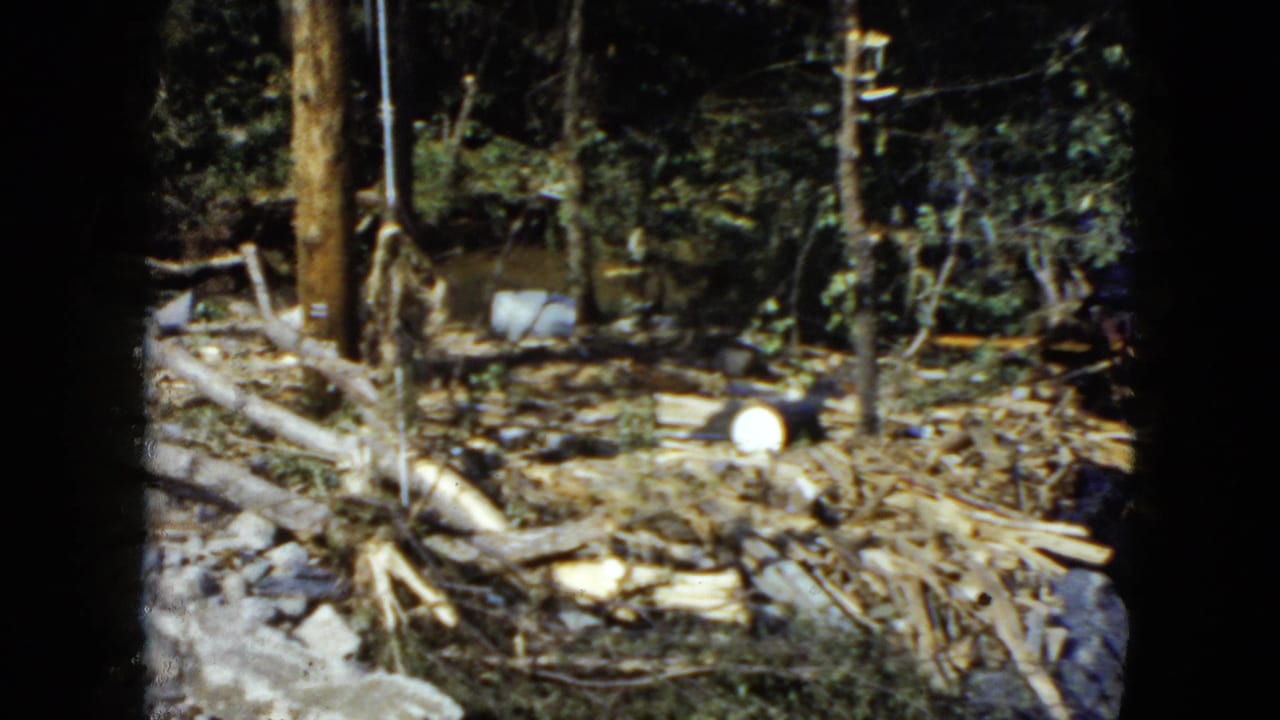 1951 8mm home-movie frame near Cleveland showing a wooded riverbank with scattered logs, brush, debris, and a vertical post.