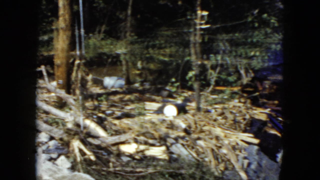 1951 8mm frame near Cleveland with a wooded bank, fallen branches, scattered debris, and river water entering the right side of the view.
