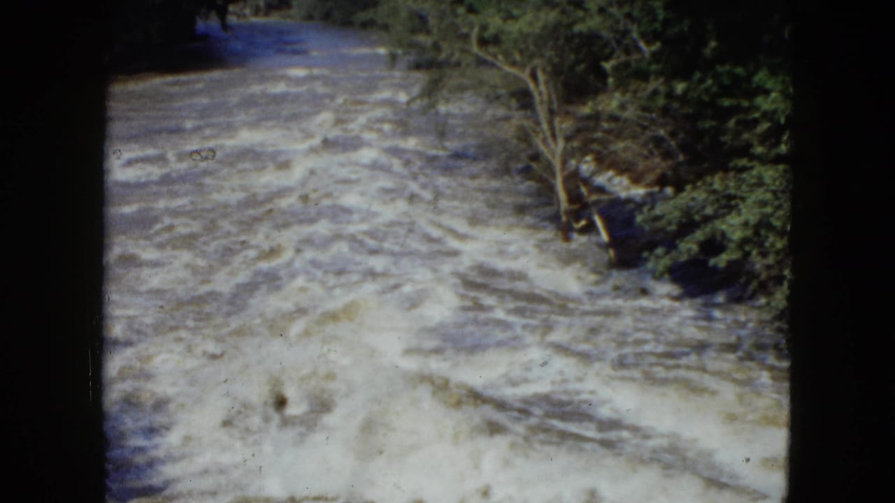 1951 Cleveland-area 8mm frame of turbulent river water moving through a wooded channel with white foam and a bare tree near the bank.