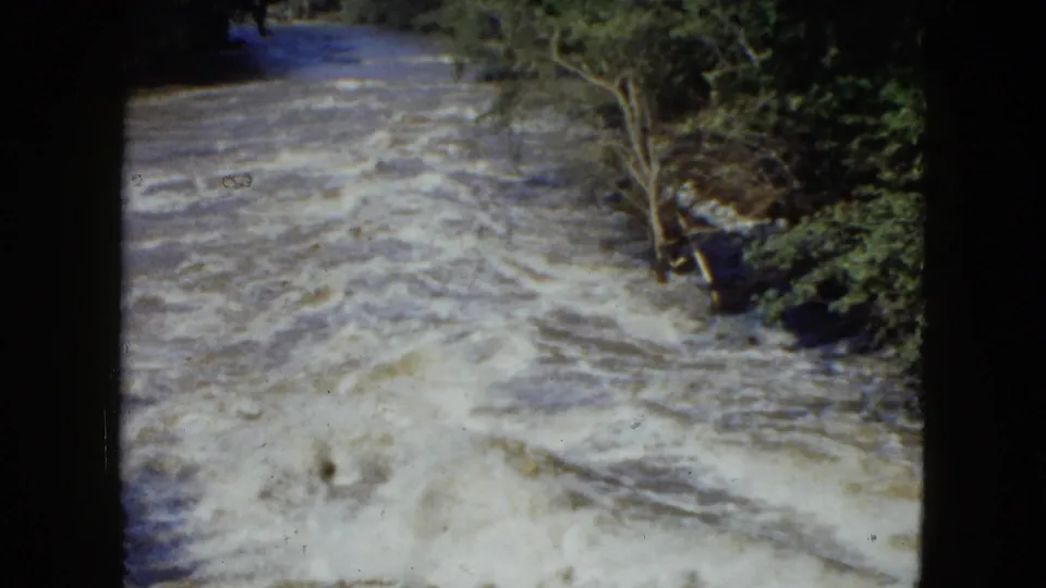 1951 Cleveland-area 8mm frame of turbulent river water moving through a wooded channel with white foam and a bare tree near the bank.