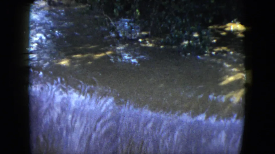 1951 Cleveland-area 8mm frame showing moving stream water near bushes and a low foamy drop in the foreground.