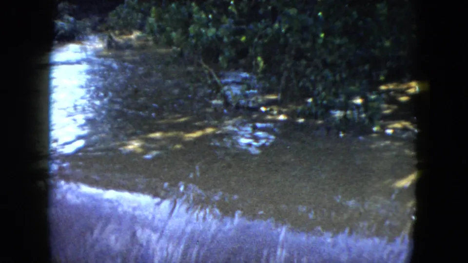 1951 Cleveland-area 8mm frame of reflective water beside dense bushes, with a low bright cascade crossing the foreground.